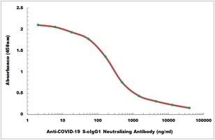COVID-19 S-cIgG1 Neutralizing Monkey Monoclonal Antibody