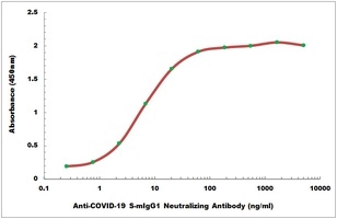 COVID-19 S-mIgG1 Neutralizing Mouse Monoclonal Antibody