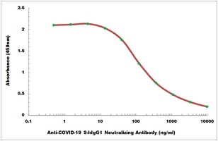 COVID-19 S-hIgG1 Neutralizing Human Monoclonal Antibody