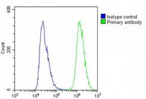 IL-23 alpha Rabbit Polyclonal Antibody