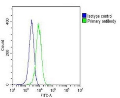 RAP1A Mouse Monoclonal Antibody