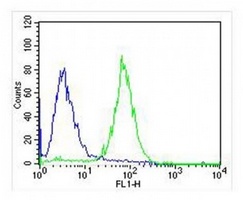 TRK B Mouse Monoclonal Antibody