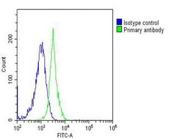 Caspase 8 Mouse Monoclonal Antibody