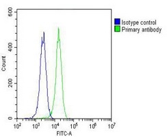 Nmi Mouse Monoclonal Antibody