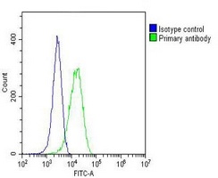 MKK1 Mouse Monoclonal Antibody