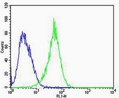 Rac 1 Mouse Monoclonal Antibody