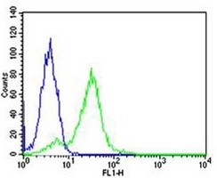 RPS6 Mouse Monoclonal Antibody