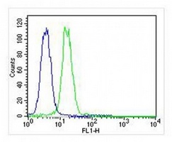 VCP Mouse Monoclonal Antibody