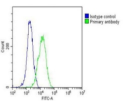 GlyRS Mouse Monoclonal Antibody