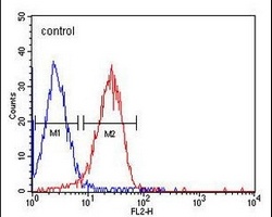 CD49f Mouse Monoclonal Antibody