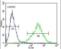 CD138 Mouse Monoclonal Antibody