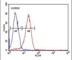 CD44 Mouse Monoclonal Antibody