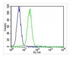 TIMP2 Mouse Monoclonal Antibody