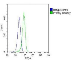 PCNA Mouse Monoclonal Antibody