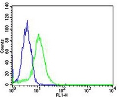 Topoisomerase 1 Mouse Monoclonal Antibody
