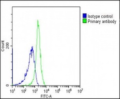 CD10 Mouse Monoclonal Antibody