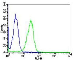 Calpain 1 Mouse Monoclonal Antibody