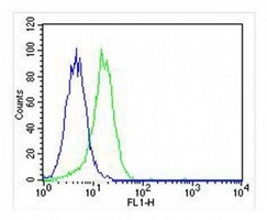 CD115 Mouse Monoclonal Antibody