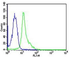 FYN Mouse Monoclonal Antibody