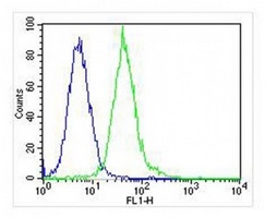 LCK Mouse Monoclonal Antibody