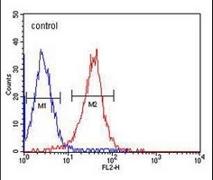 ALDH2 Mouse Monoclonal Antibody