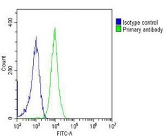 PGK1 Mouse Monoclonal Antibody