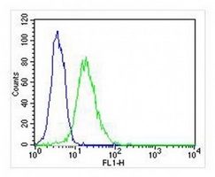 DENR Mouse Monoclonal Antibody