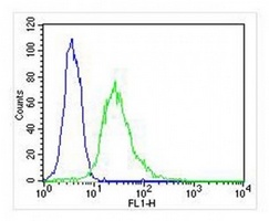EEF1E1 Mouse Monoclonal Antibody