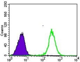 GLUT4 Mouse Monoclonal Antibody