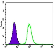 GSTP1 Mouse Monoclonal Antibody