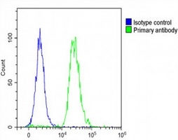 FAM3A Rabbit Polyclonal Antibody