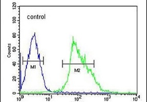 USP17L24 Rabbit Polyclonal Antibody
