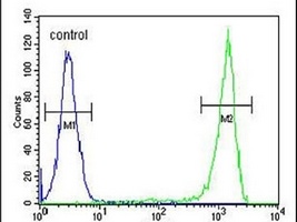 AAGAB Rabbit Polyclonal Antibody