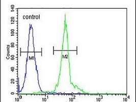 IFT172 Rabbit Polyclonal Antibody