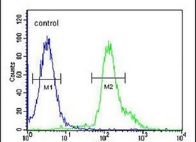 RSPO2 Rabbit Polyclonal Antibody