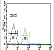FOLH1B Rabbit Polyclonal Antibody
