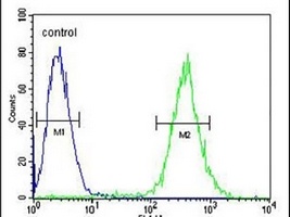 GLRX5 Rabbit Polyclonal Antibody