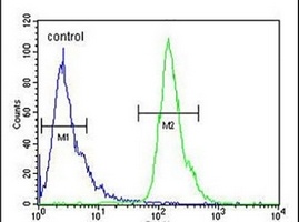 POTEH Rabbit Polyclonal Antibody