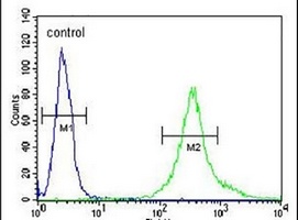 PRG1 Rabbit Polyclonal Antibody