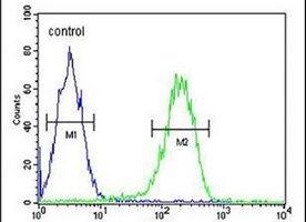 PAN3 Rabbit Polyclonal Antibody