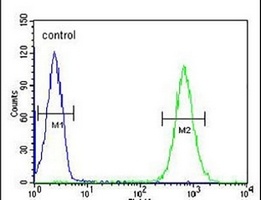 MICALL2 Rabbit Polyclonal Antibody