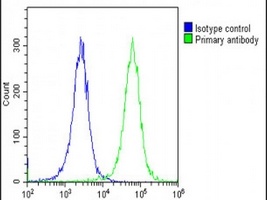 Collagen 14 alpha 1 Rabbit Polyclonal Antibody