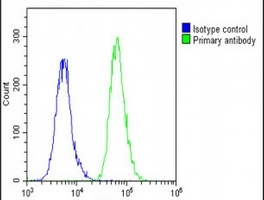 BCL2L10 Rabbit Polyclonal Antibody