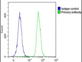 MVB12A Rabbit Polyclonal Antibody