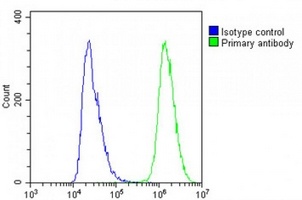 IL-23 alpha Rabbit Polyclonal Antibody