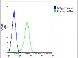 PGAP1 Rabbit Polyclonal Antibody