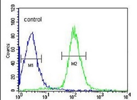 CCDC85B Rabbit Polyclonal Antibody