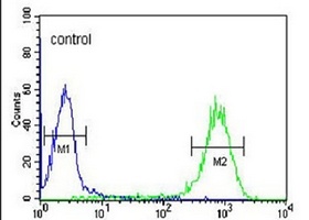 DLK2 Rabbit Polyclonal Antibody