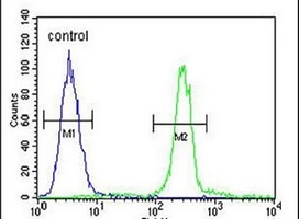 CTHRC1 Rabbit Polyclonal Antibody