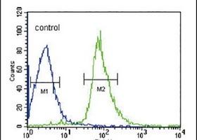 EHD3 Rabbit Polyclonal Antibody